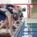 Sharks Spring Swim